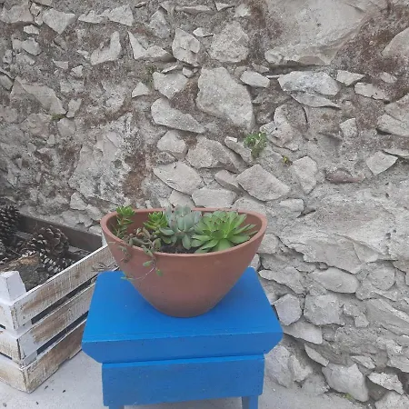 Grandma Σπίτι διακοπών Pataias